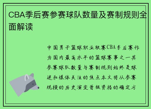 CBA季后赛参赛球队数量及赛制规则全面解读