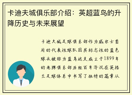 卡迪夫城俱乐部介绍：英超蓝鸟的升降历史与未来展望