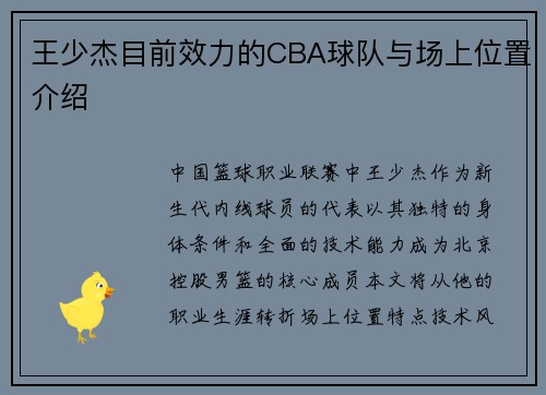 王少杰目前效力的CBA球队与场上位置介绍