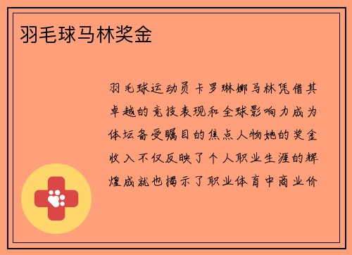 羽毛球马林奖金